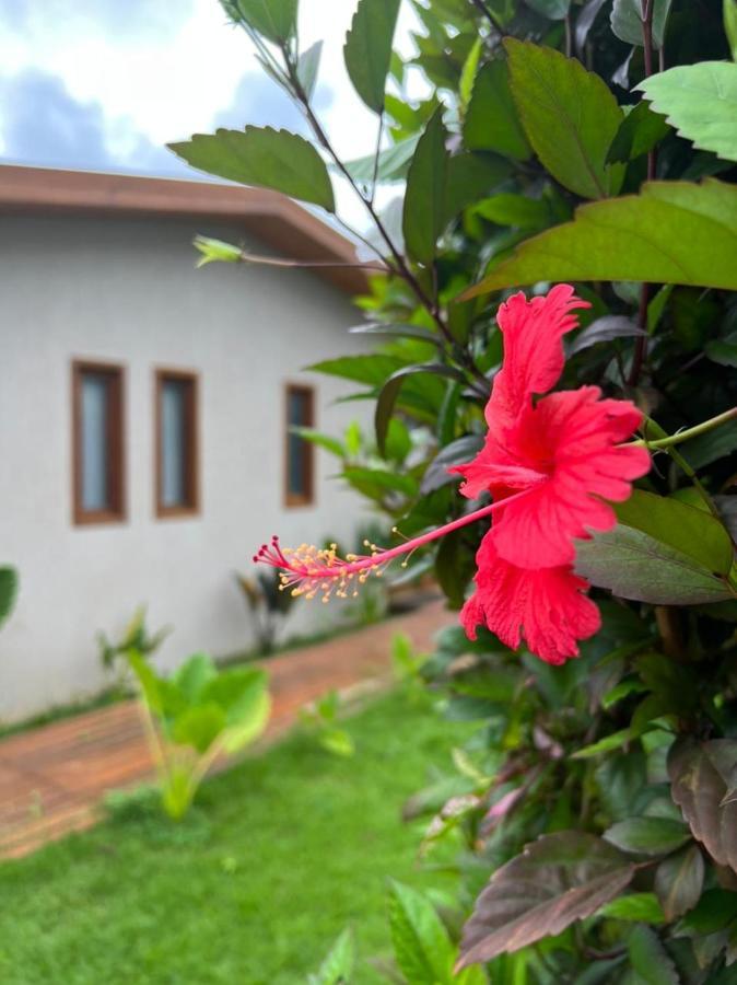 Pousada Maresia Fernando de Noronha Exterior photo